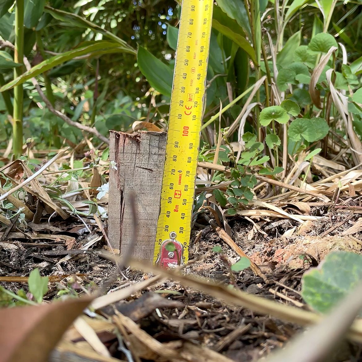 How to install a water tank Bunnings community
