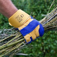 General duty cotton and leather gloves are ideal for garden clean ups.