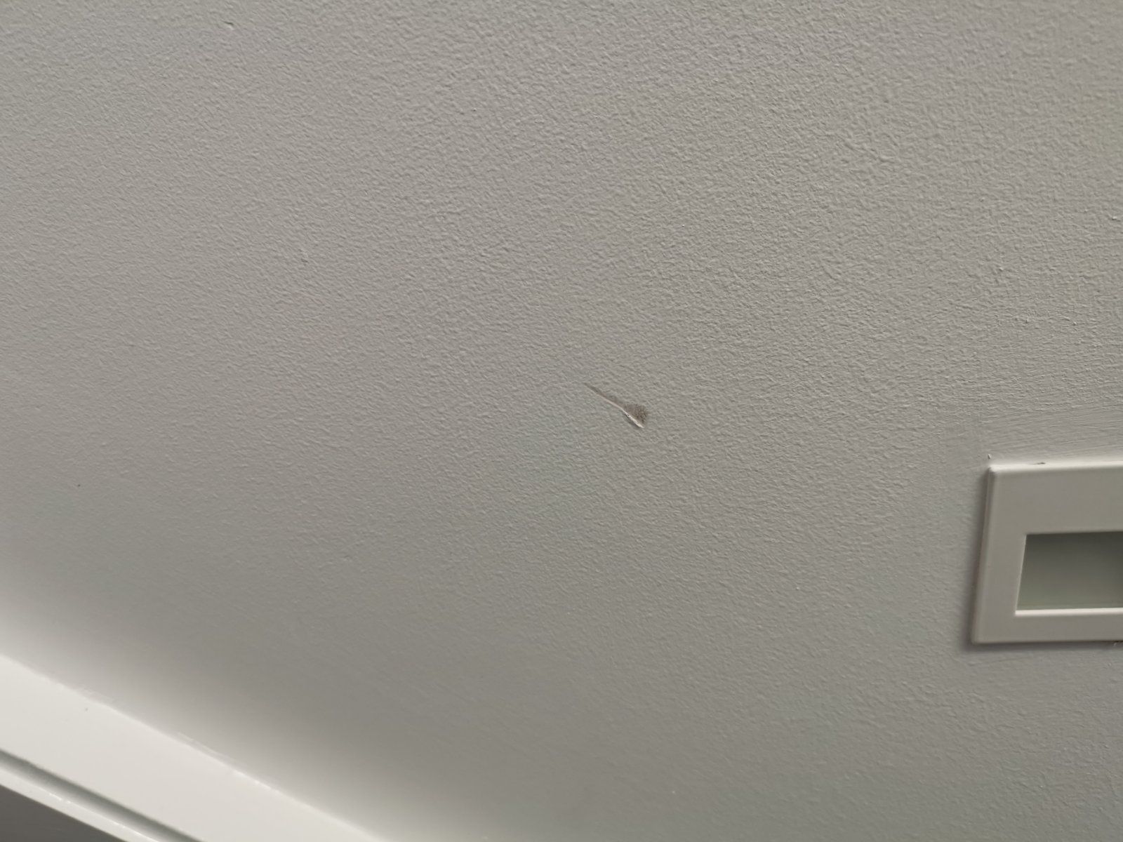 Solved How to fix the scratch in Gyprock? Bunnings community