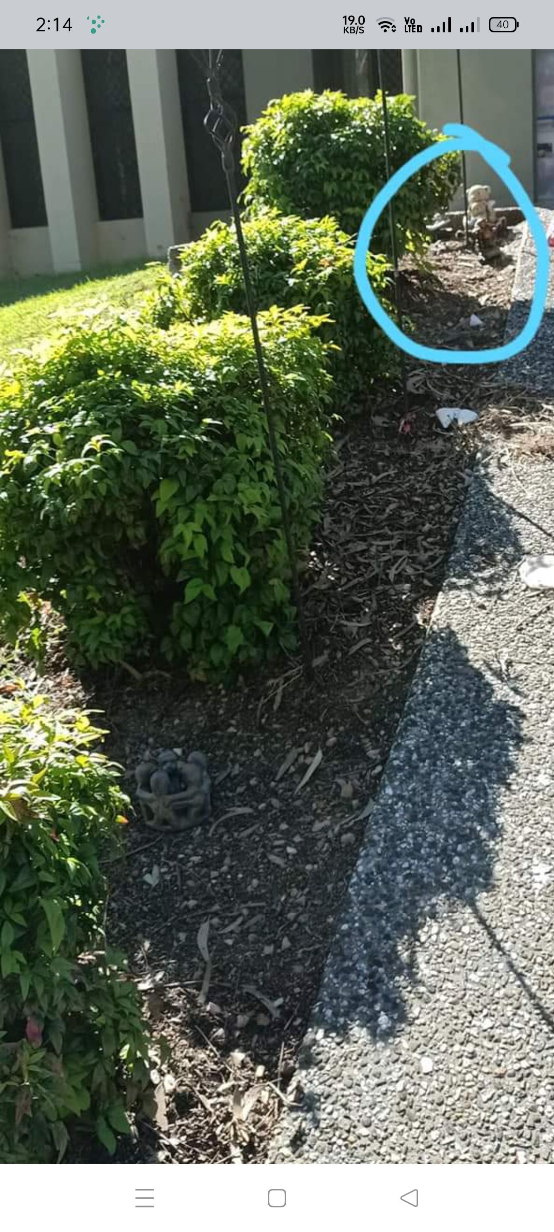 How do I fix this? Bunnings community