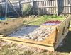 sandpit 2.jpeg