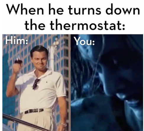thermostat.png