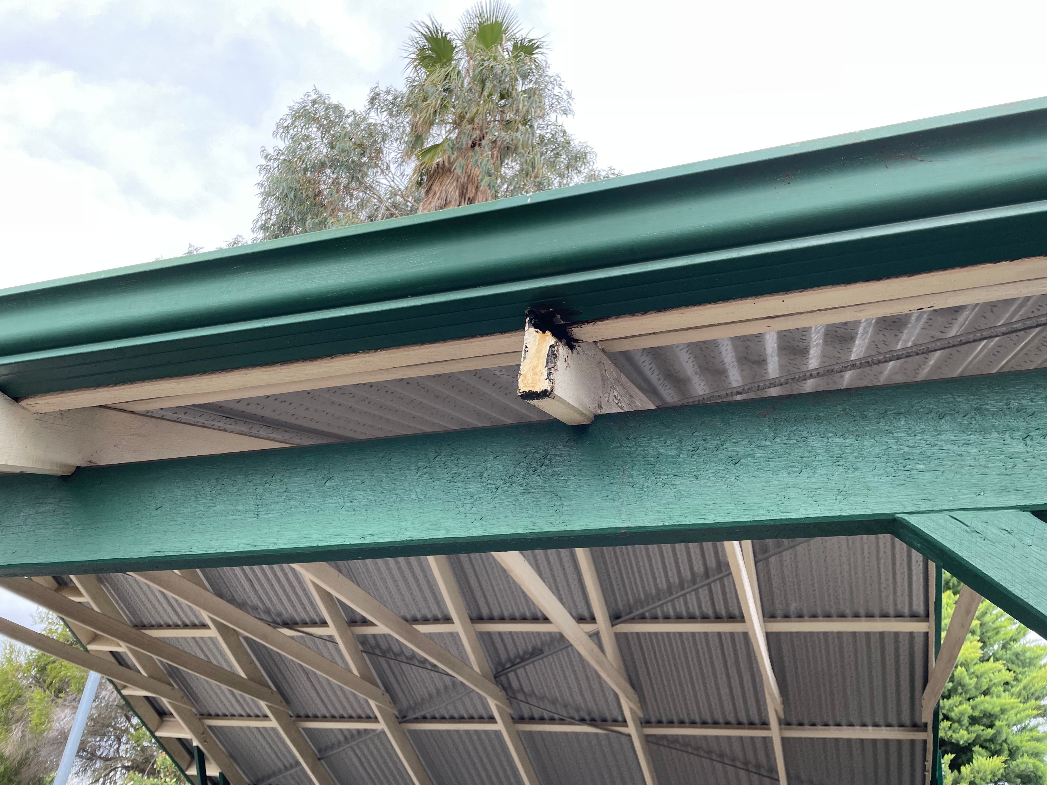 Solved How do I fix the holes in my gutter? Bunnings community