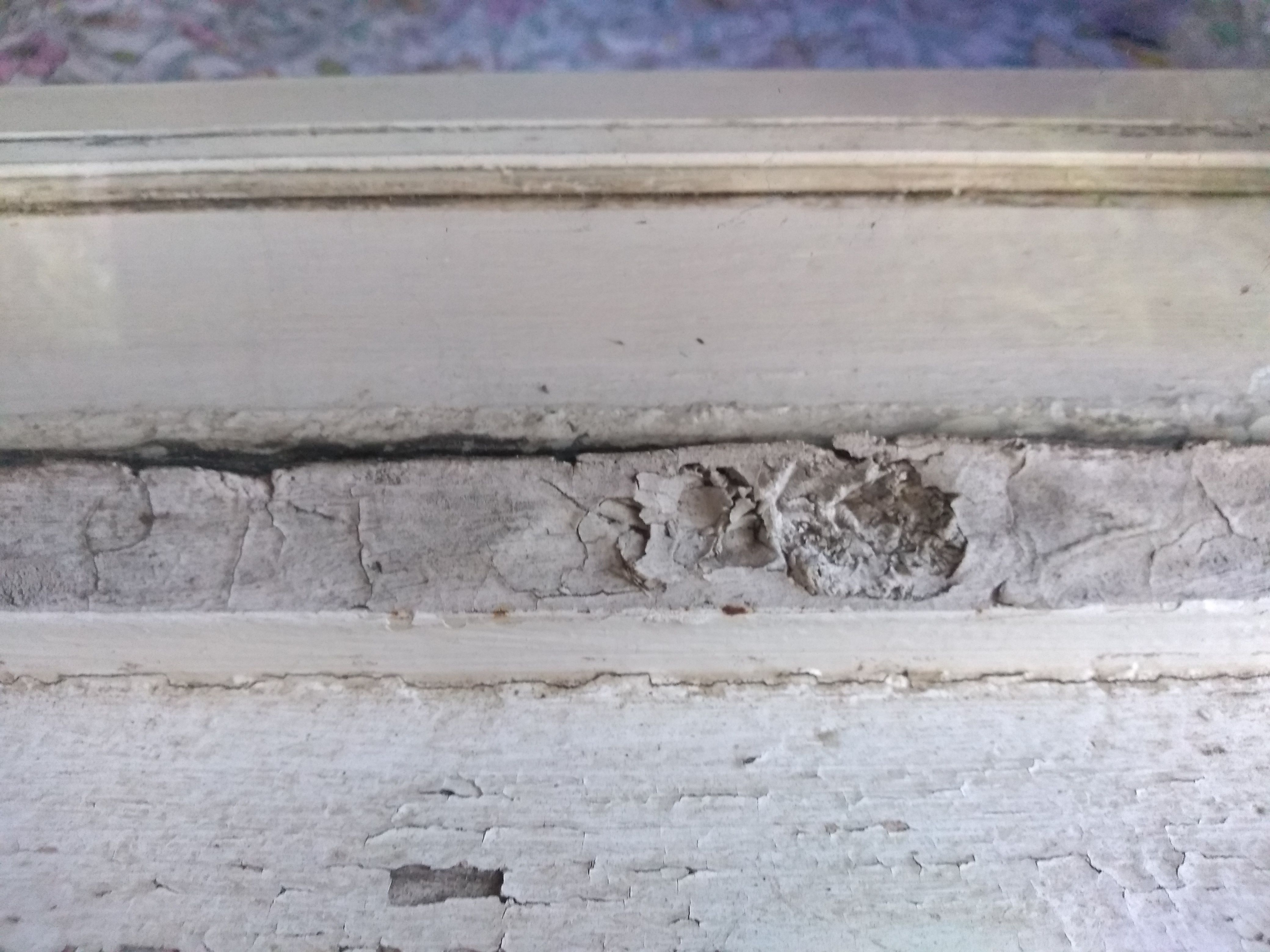 How to paint outside windows? Bunnings community