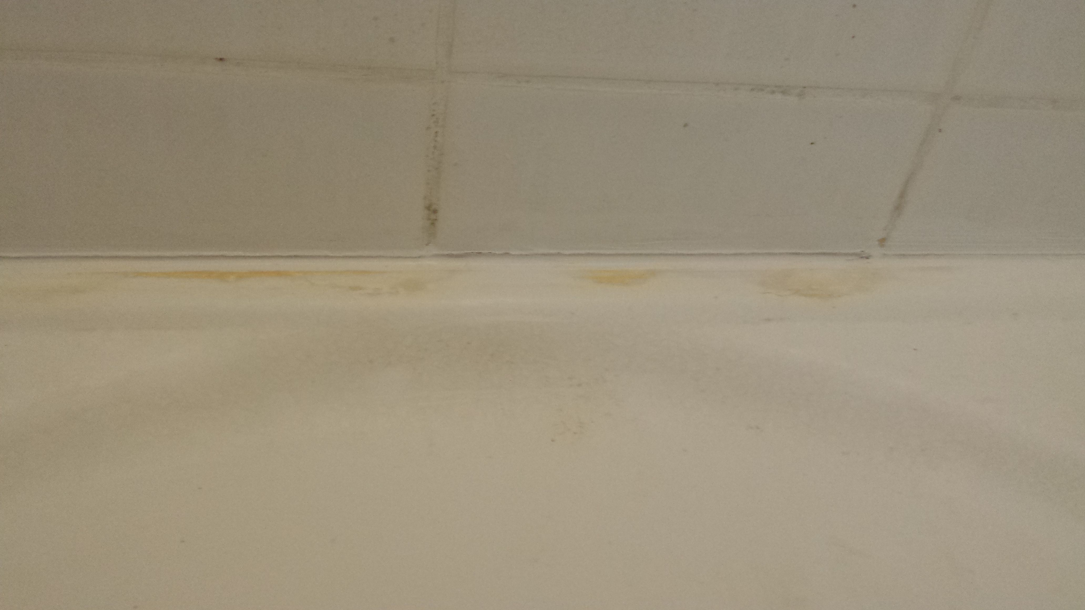 Solved How to paint a shower base? Bunnings community