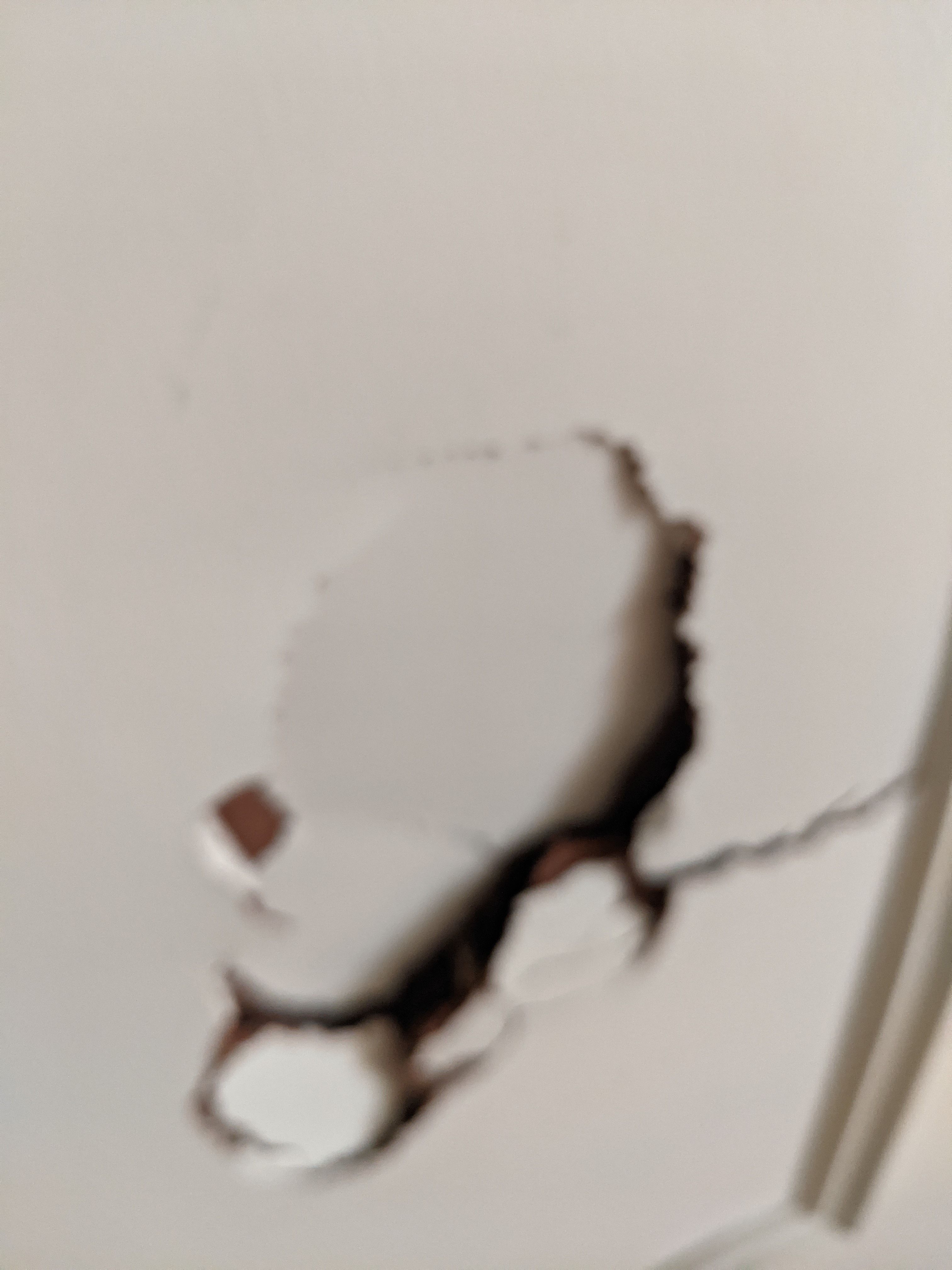 Solved: How to fill the holes and gouge in my do... - Page 8 | Bunnings ...