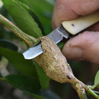 Knife on gall
