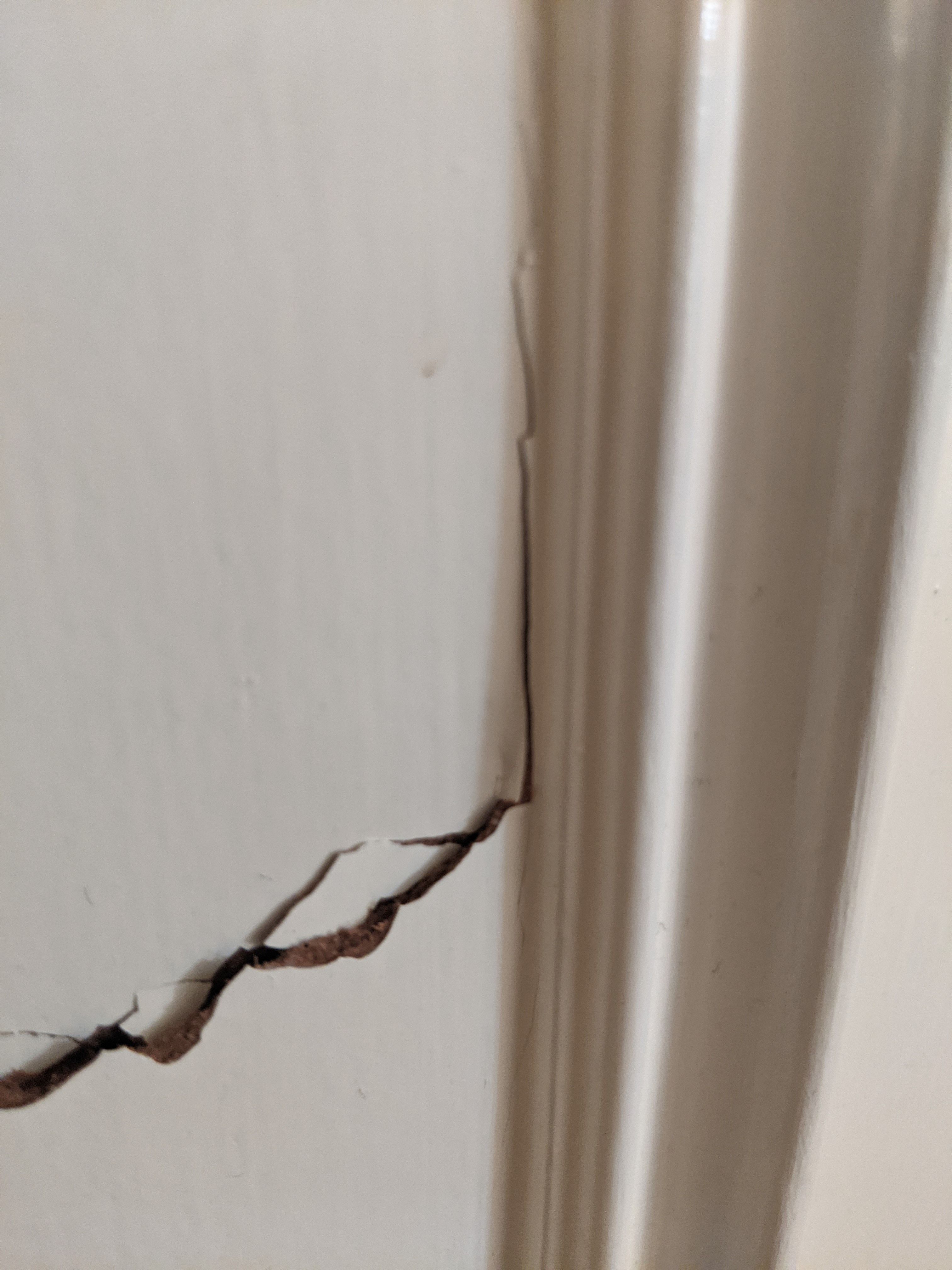 Solved: How to fill the holes and gouge in my do... - Page 8 | Bunnings ...