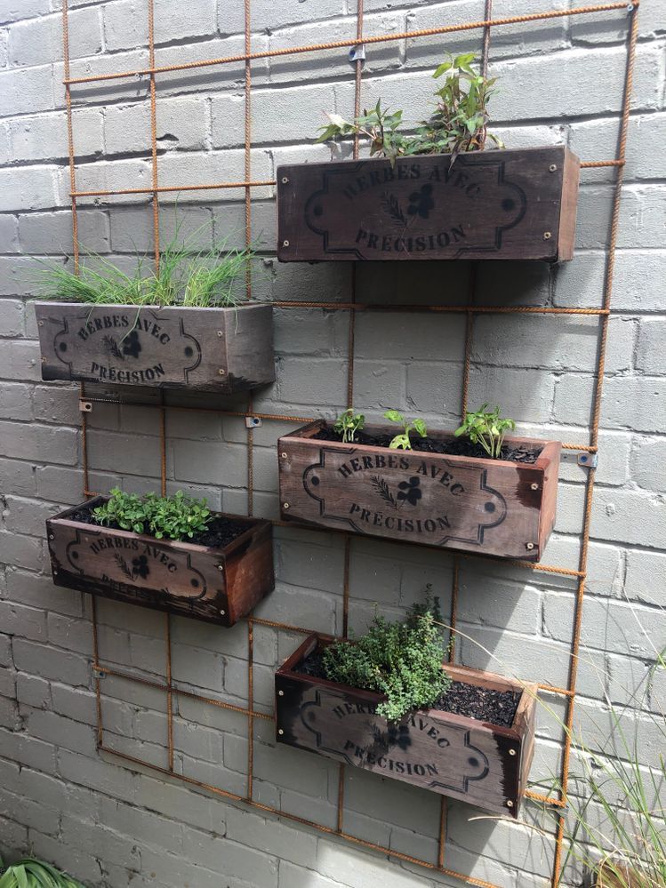 Vertical herb garden on reinforcing mesh Bunnings community