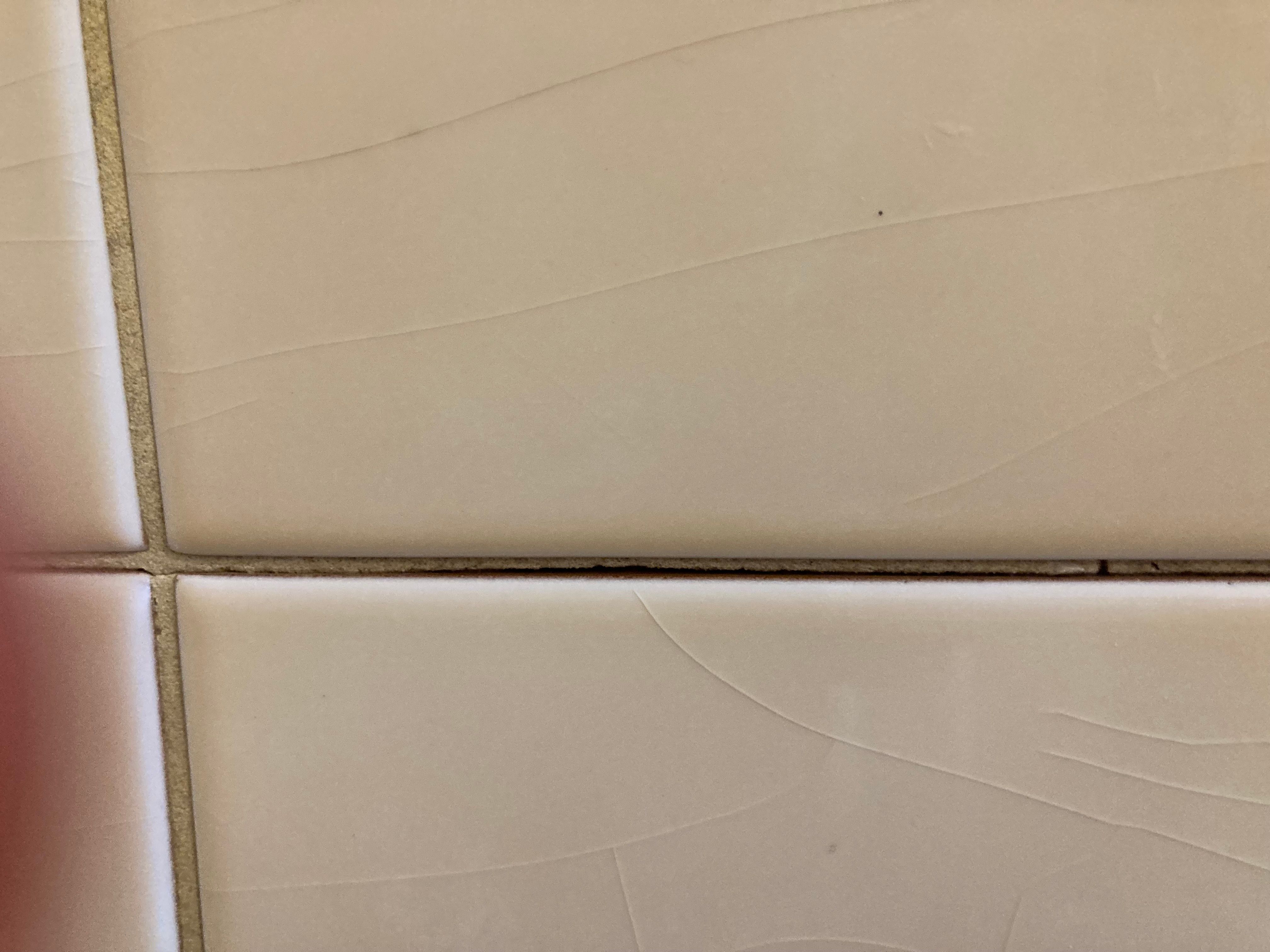 How to regrout bathroom shower tile? Bunnings community