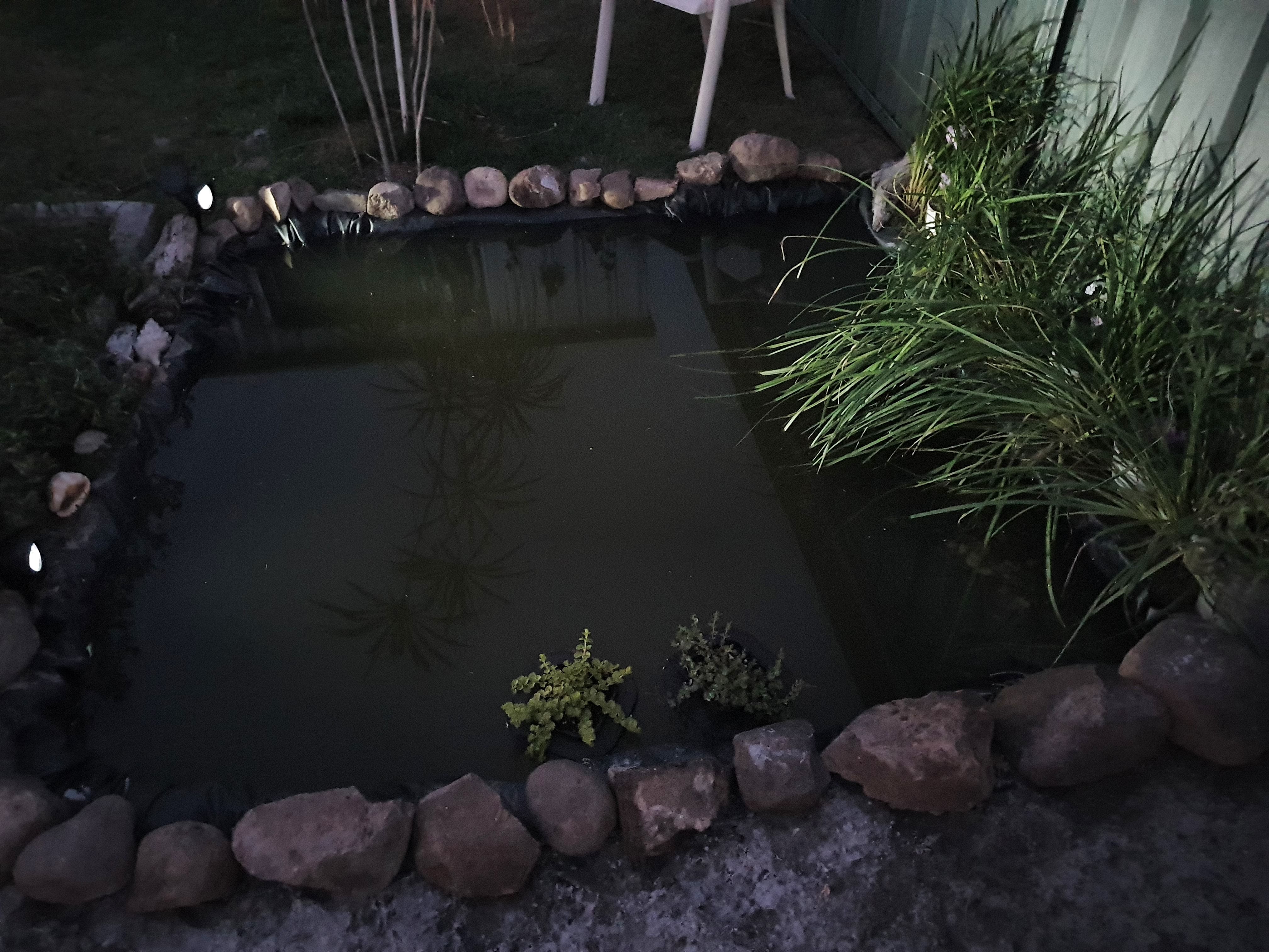 Small Pond Bunnings community
