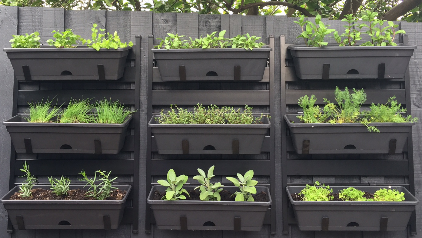 5 ways to create a vertical garden Bunnings community