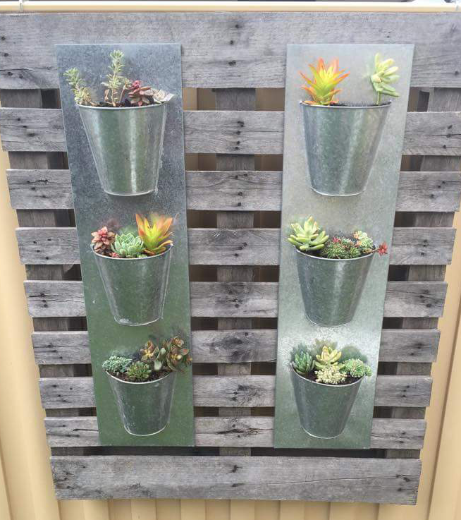 5 ways to create a vertical garden Bunnings community
