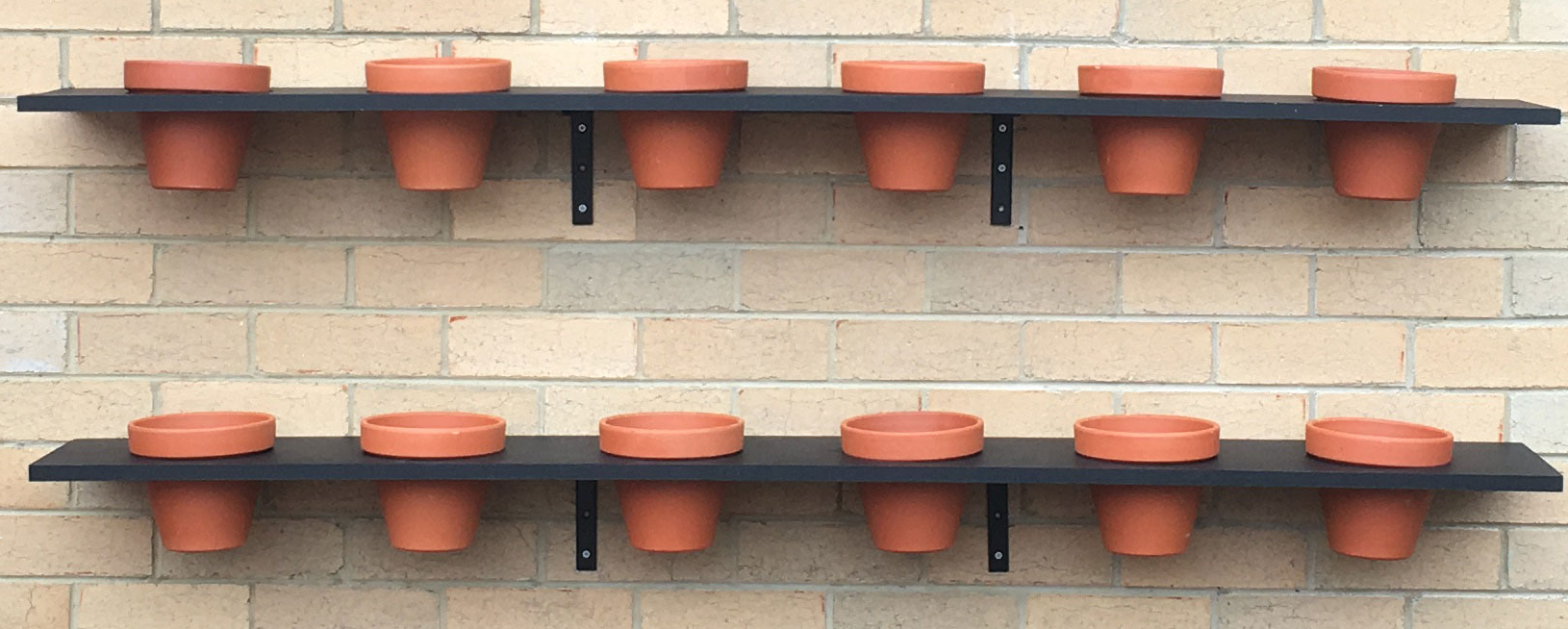 5 ways to create a vertical garden Bunnings community