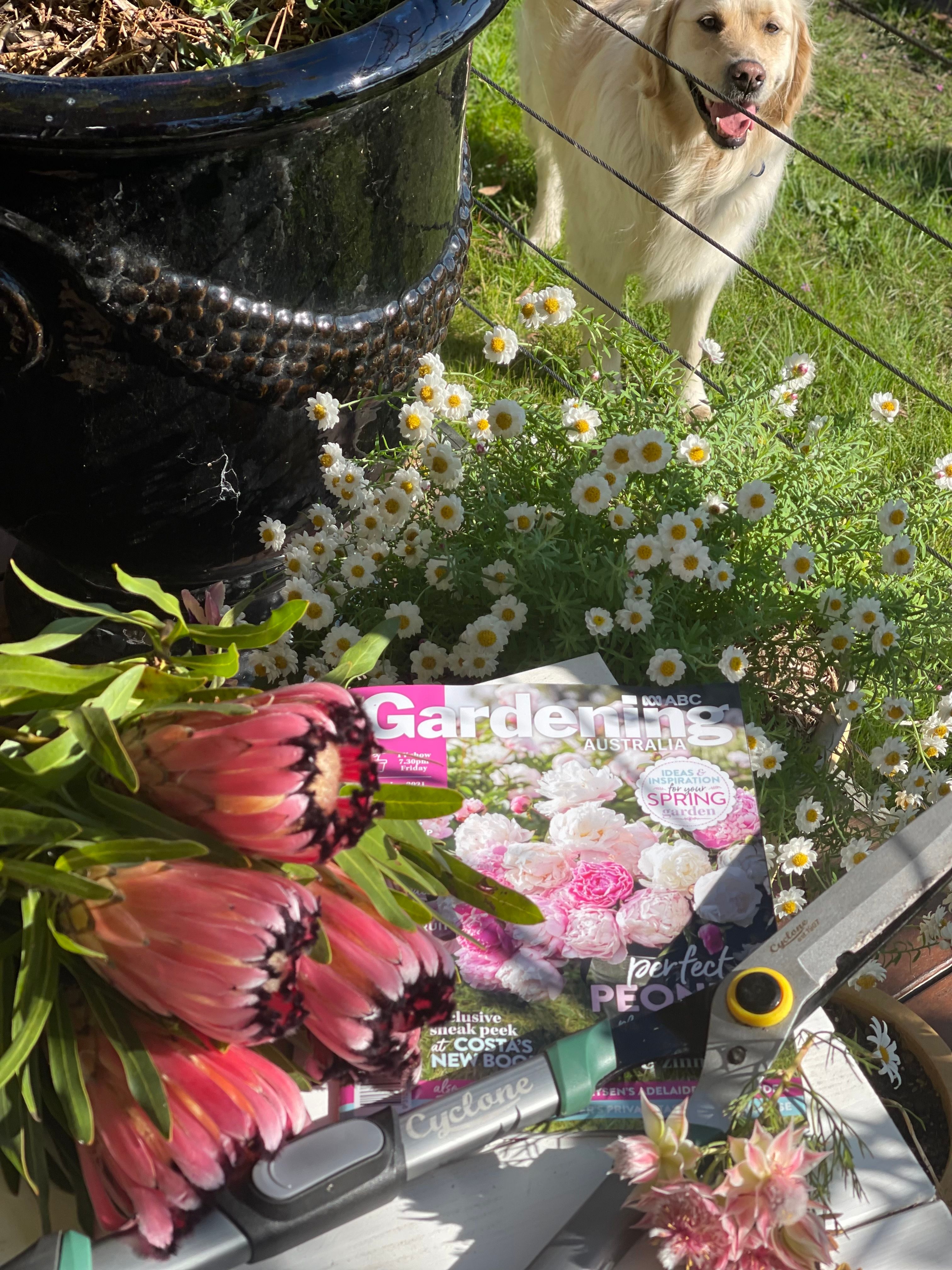 Garden tools Bunnings community