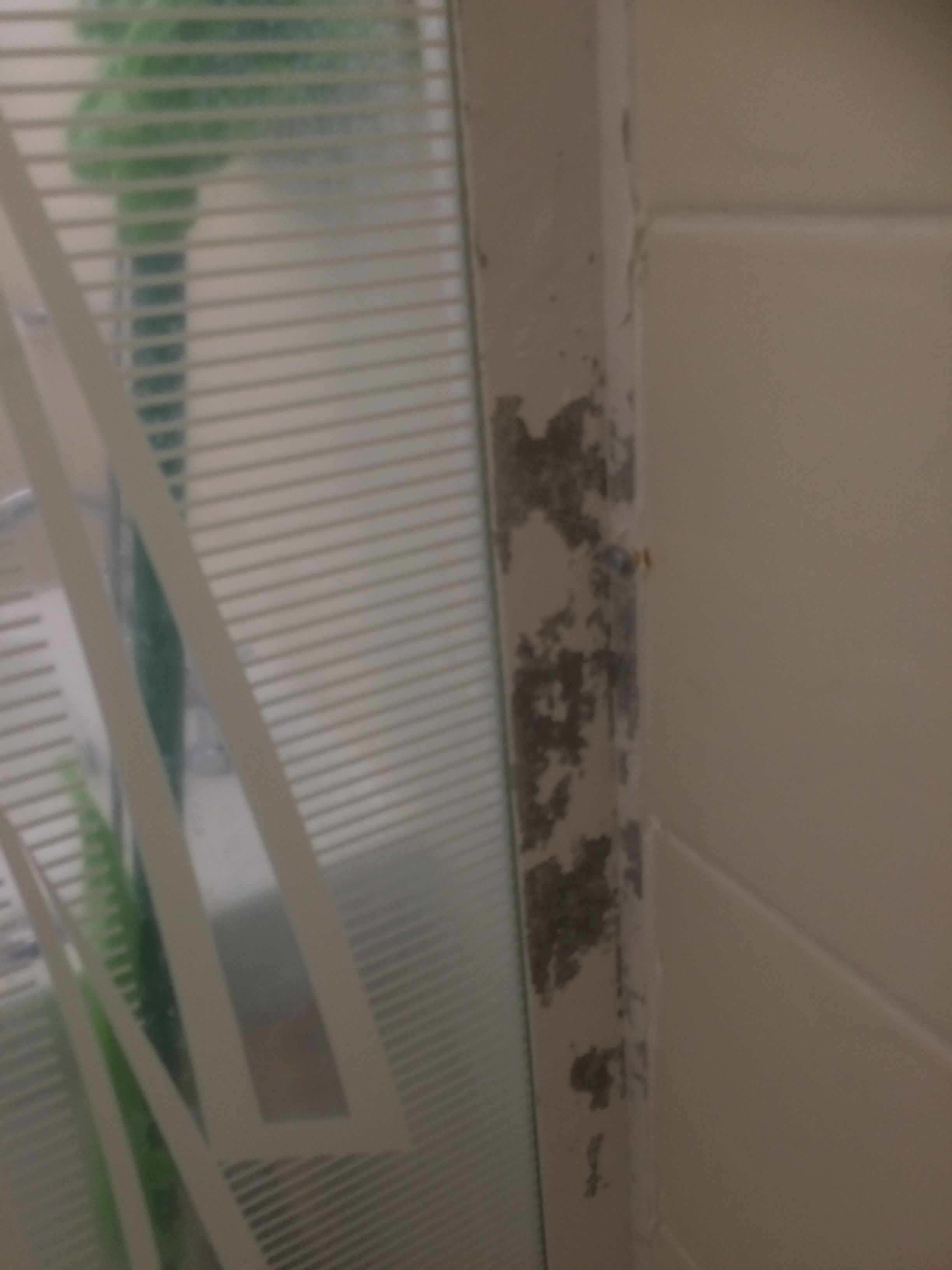 Solved How to repaint an aluminium shower scree... Bunnings