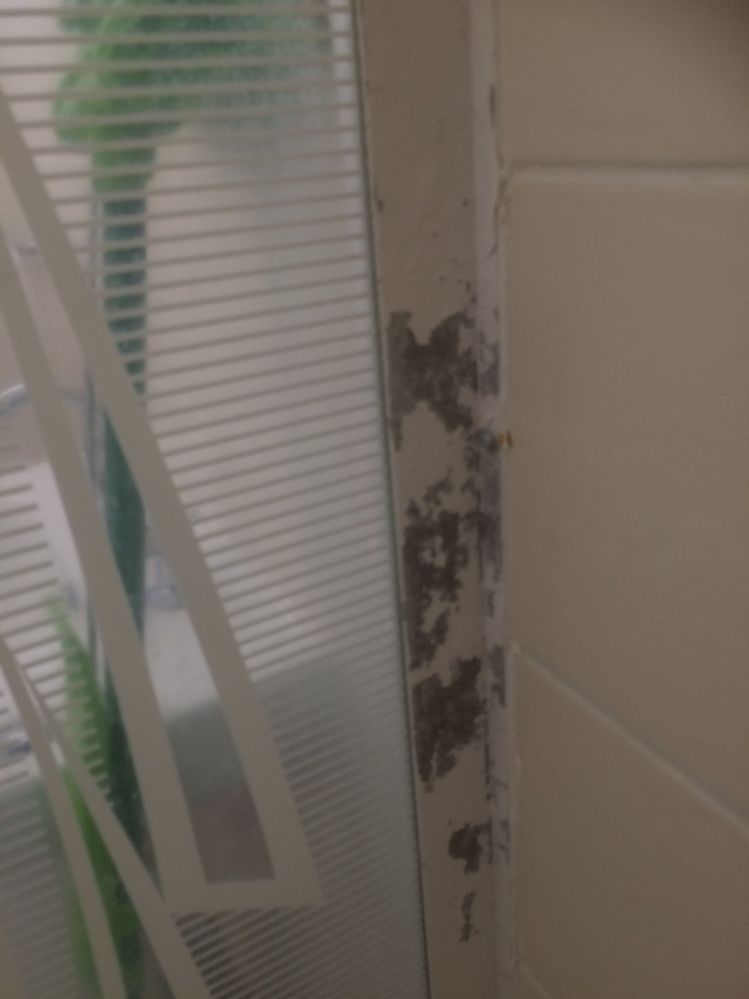 interior upright lower erosion