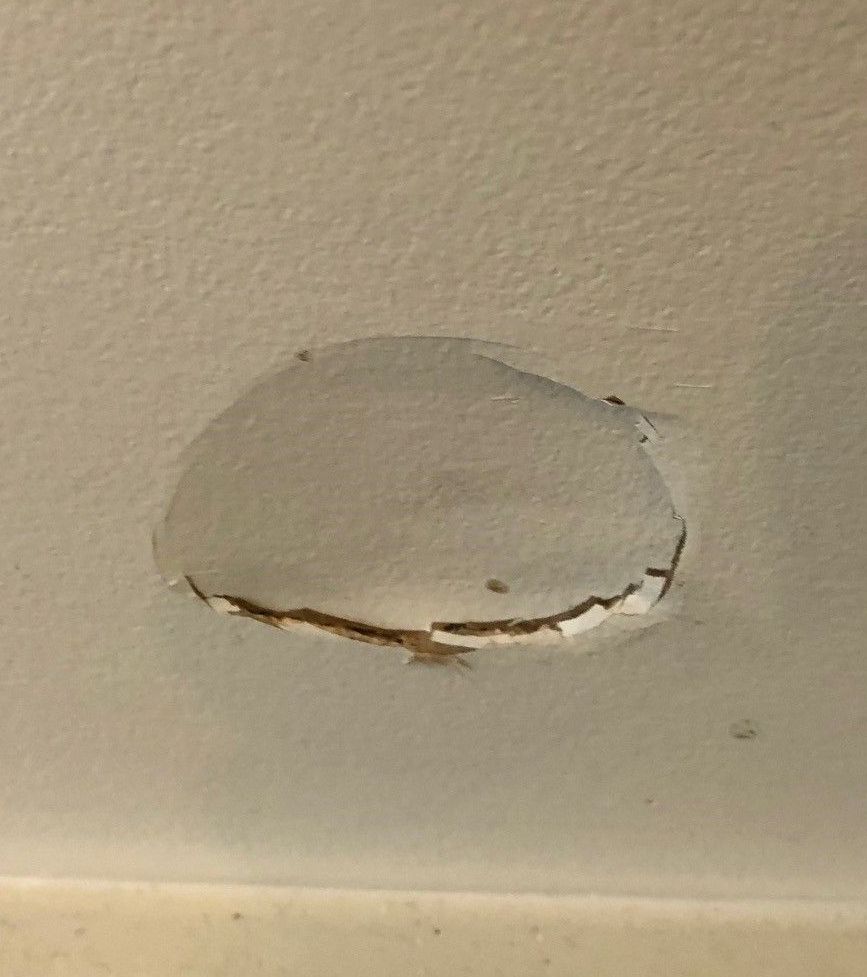 What is the best way to repair a hole in... Bunnings community