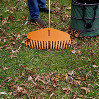 Maximise sunlight by clearing fallen leaves.