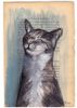 46860e9a57a2a4e4fd79ccca6ee248e0--the-cream-cat-paintings.jpg