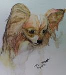 Profile (yarrawarra)