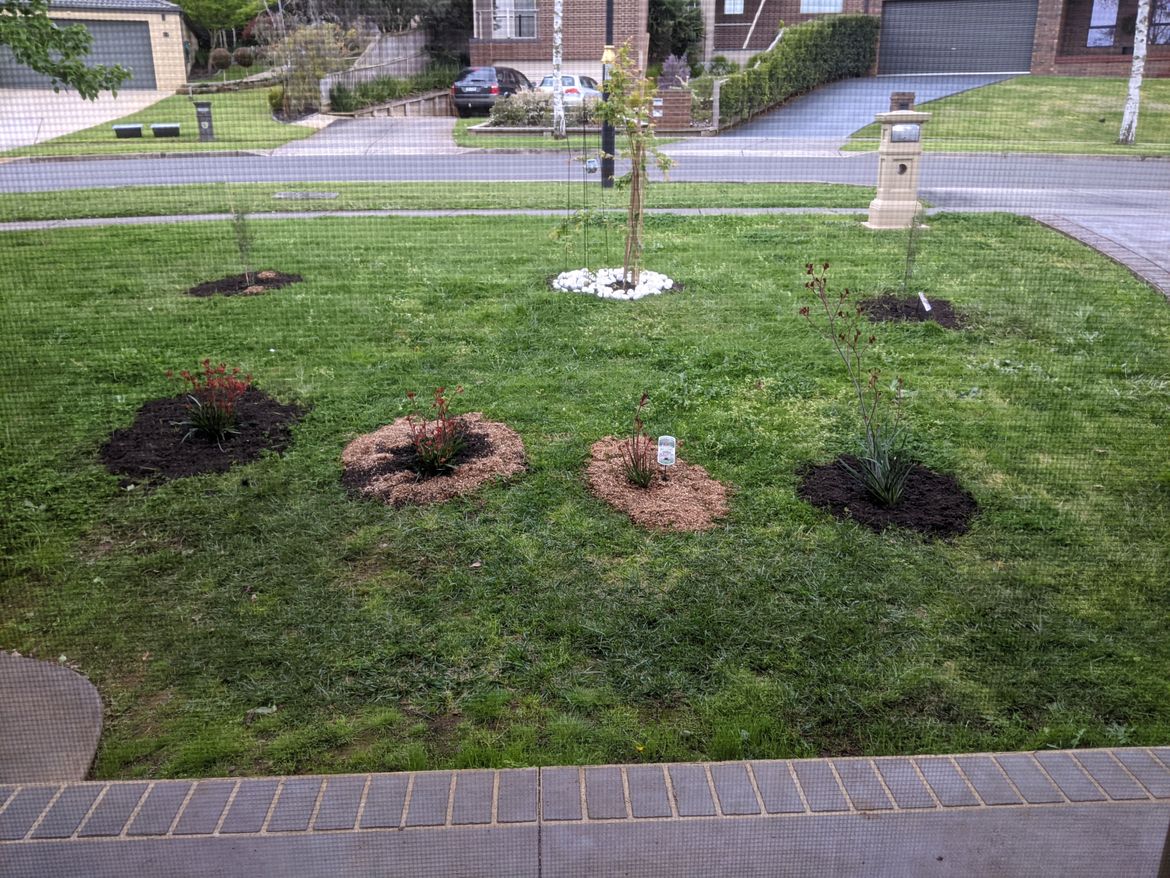 2021003 Front Lawn after Grav and KP planting.jpg