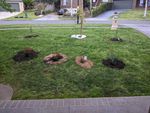 2021003 Front Lawn after Grav and KP planting.jpg