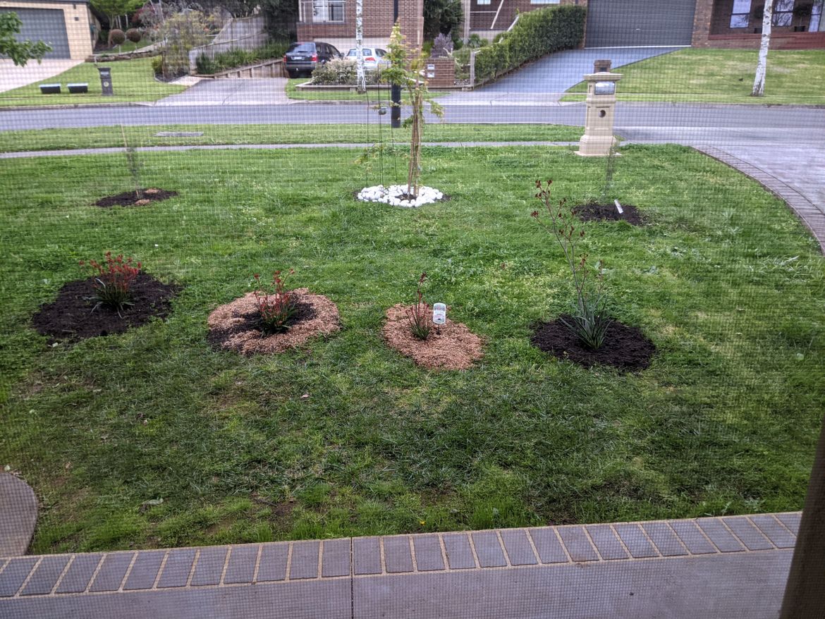 20211003 Front Lawm pic 2 after Grav and KP.jpg