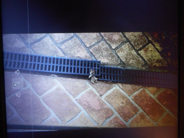 Rehln Plastic Drain cover.JPG