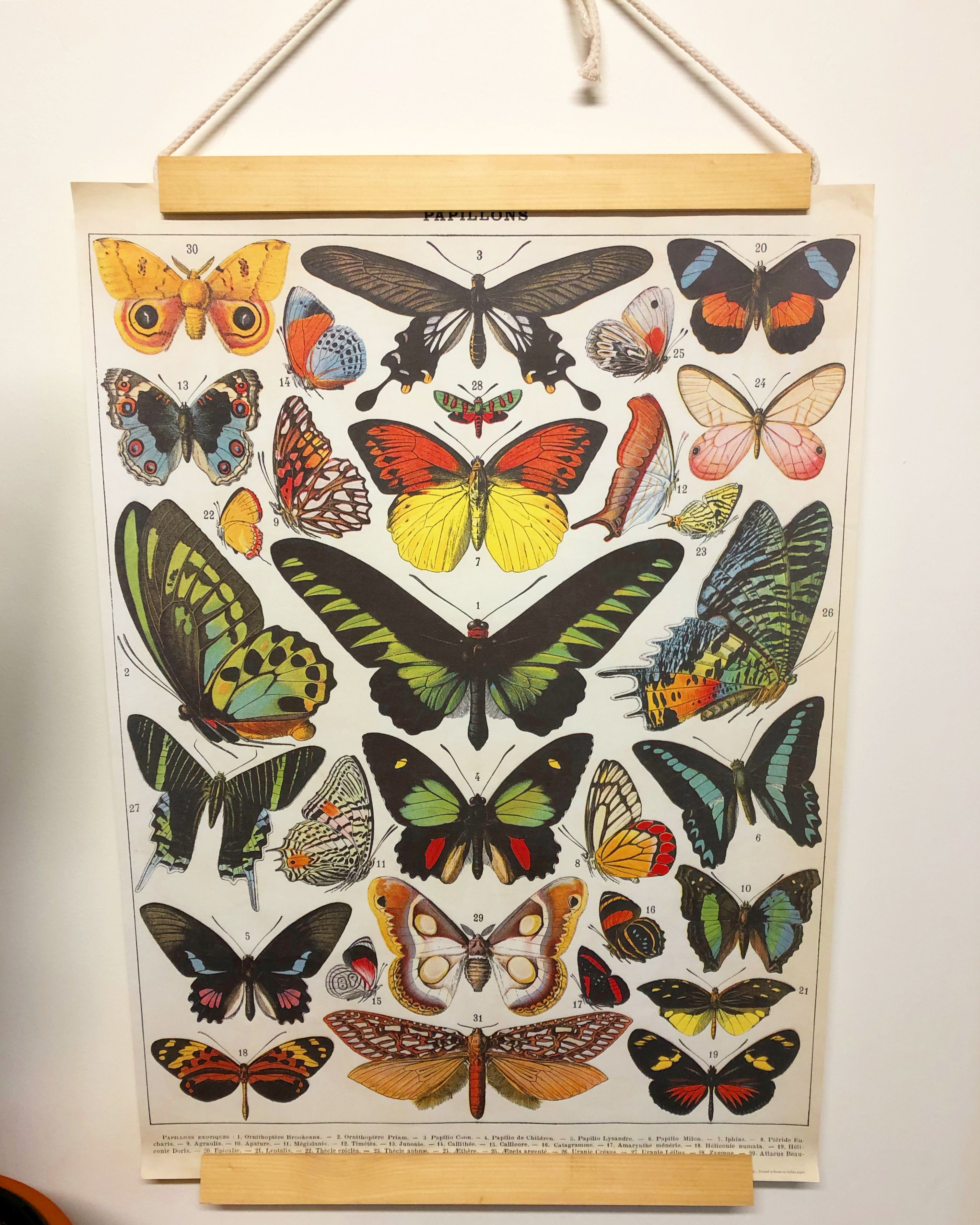 Simple picture frame Bunnings community