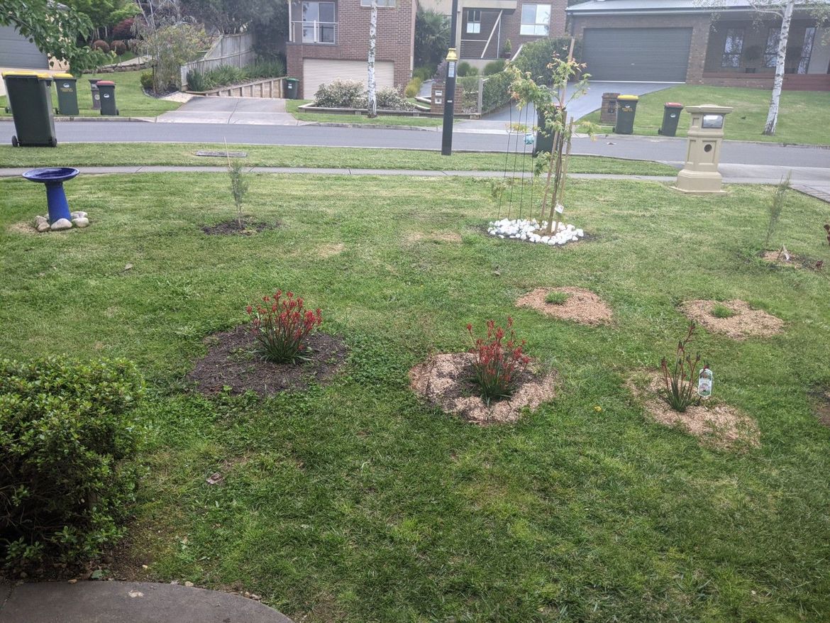 20211014 Bird Bath plus Ground cover 2.jpg