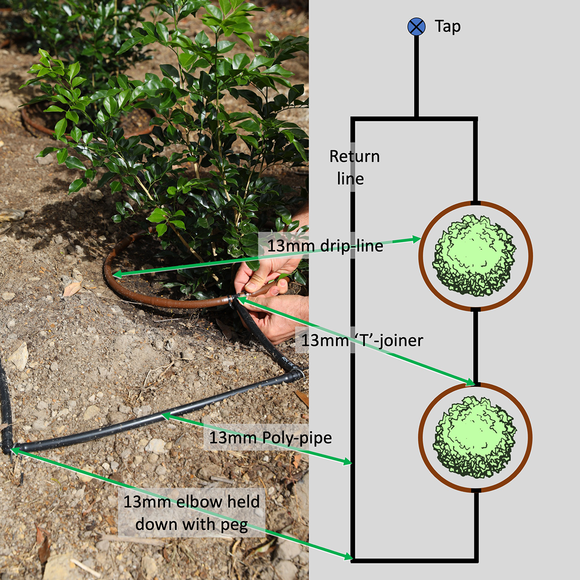 Understanding a drip irrigation watering... Bunnings community
