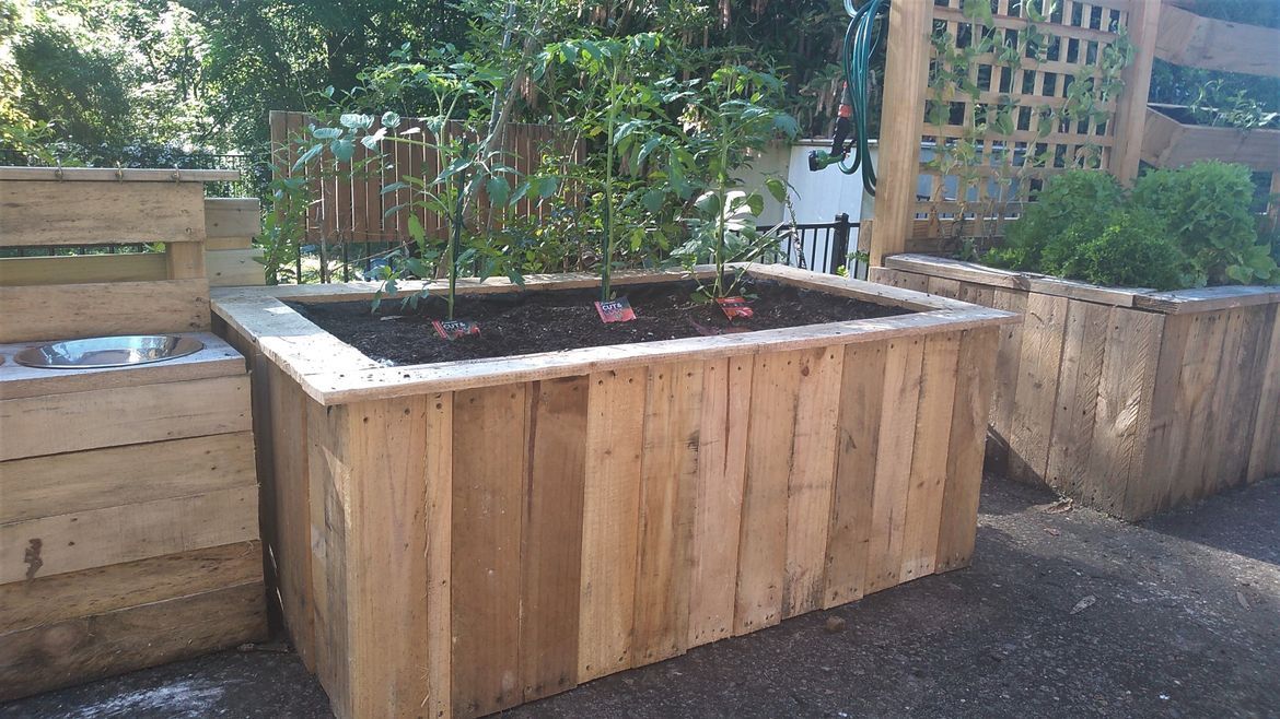 Raised garden beds using fence palings Bunnings community