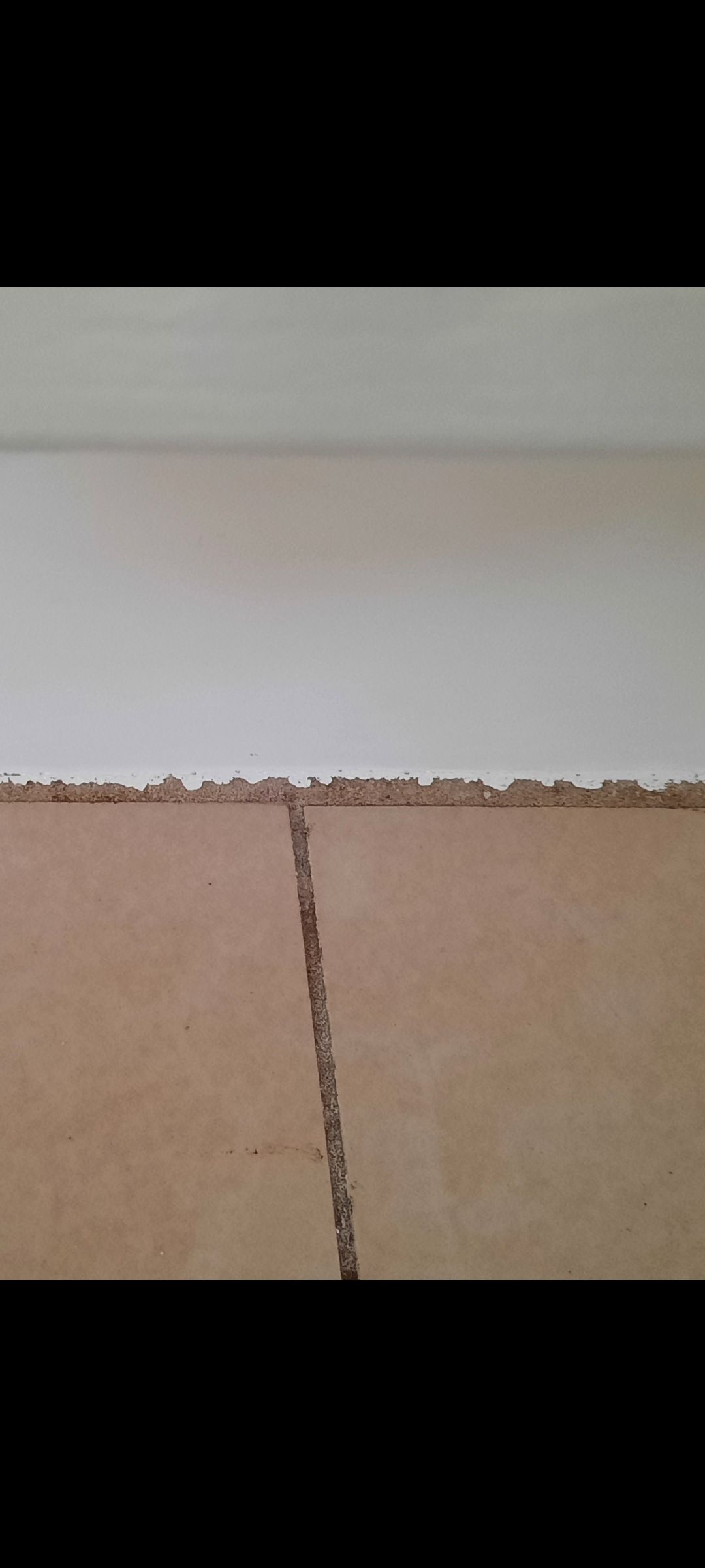 Kick panel paint on grout Bunnings community