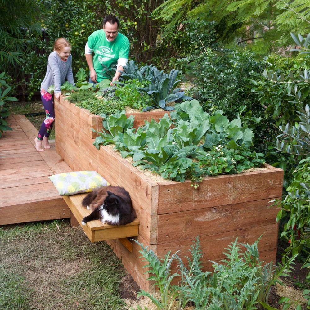 Raised garden bed with netting Bunnings community