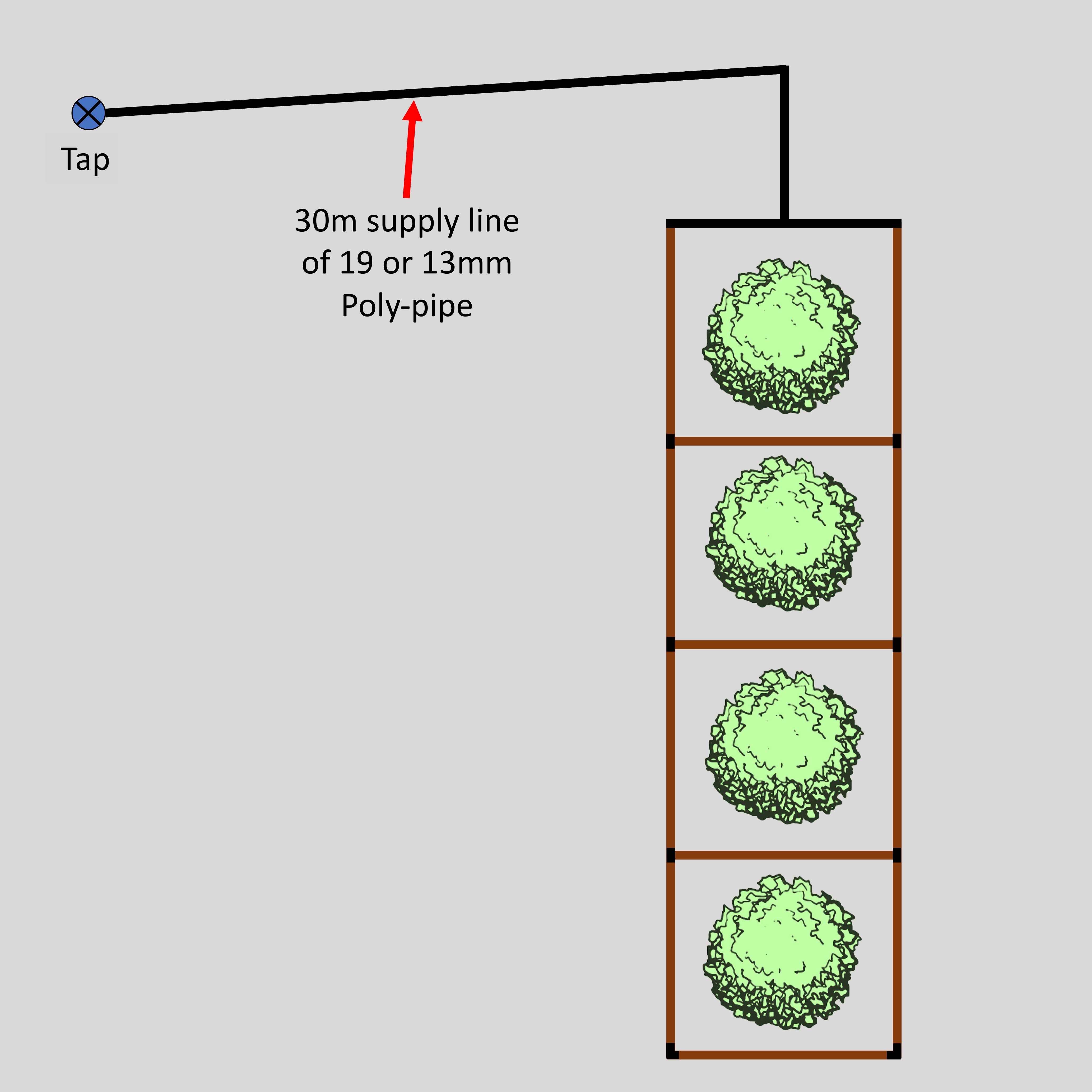 Understanding a drip irrigation watering... Bunnings community