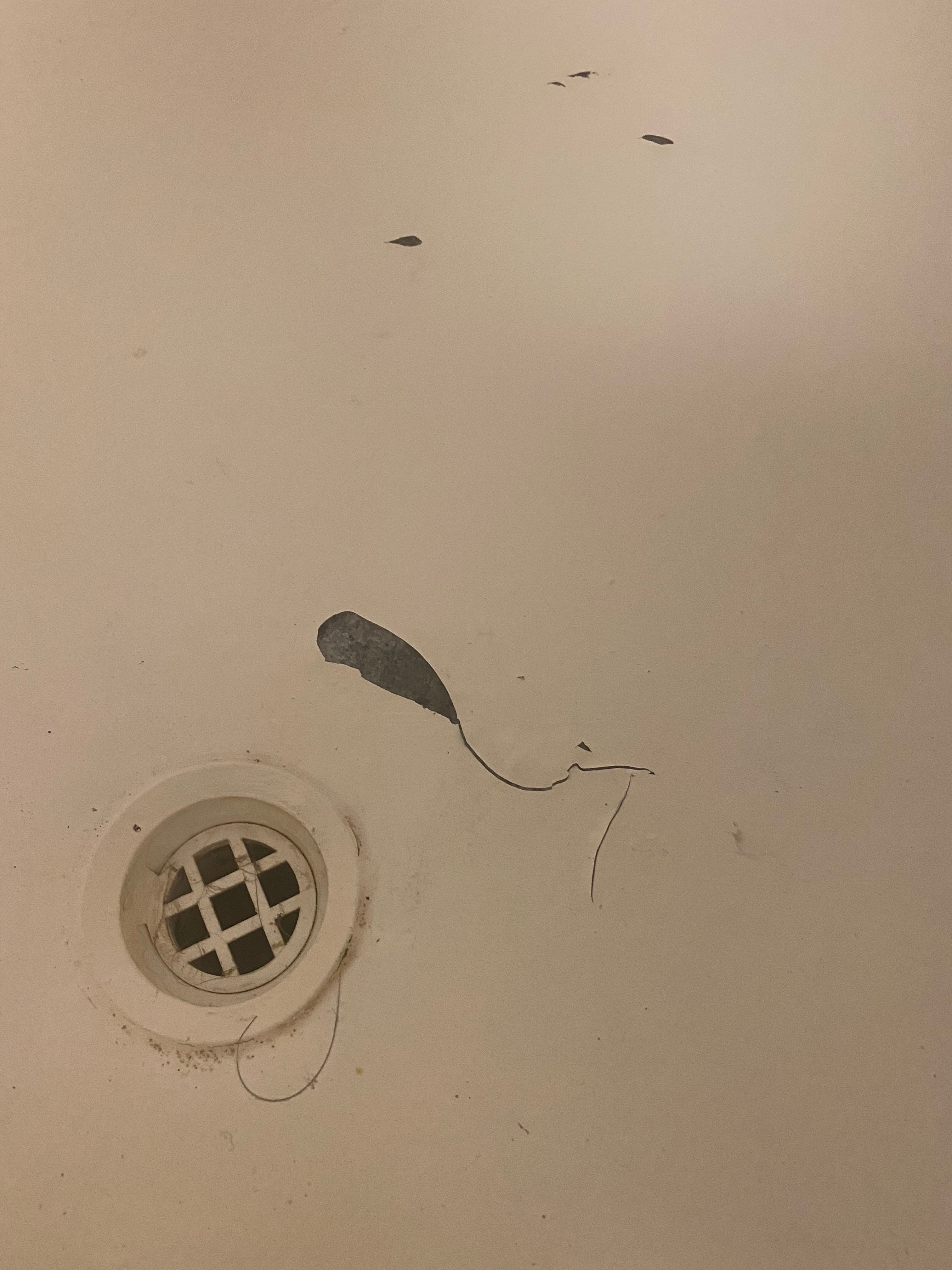 Painting a shower base Bunnings community