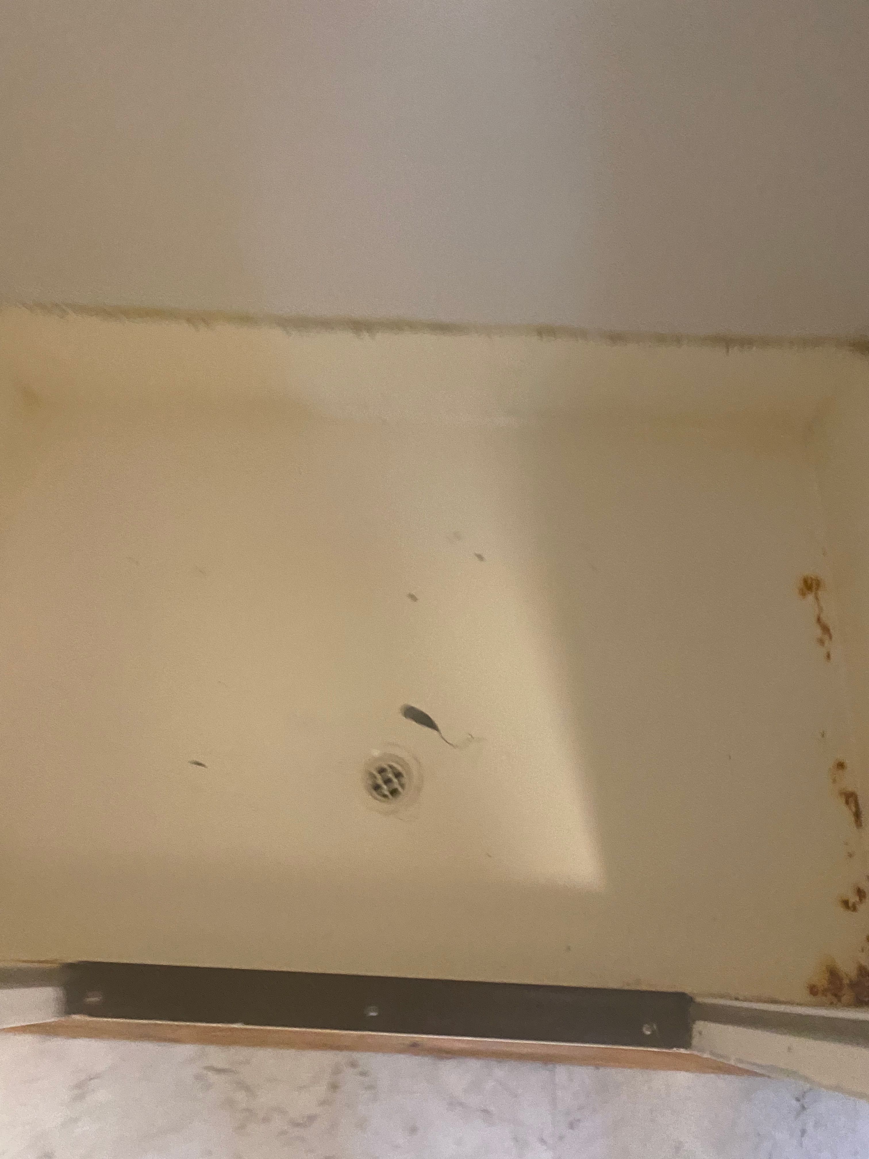 Painting a shower base Bunnings community