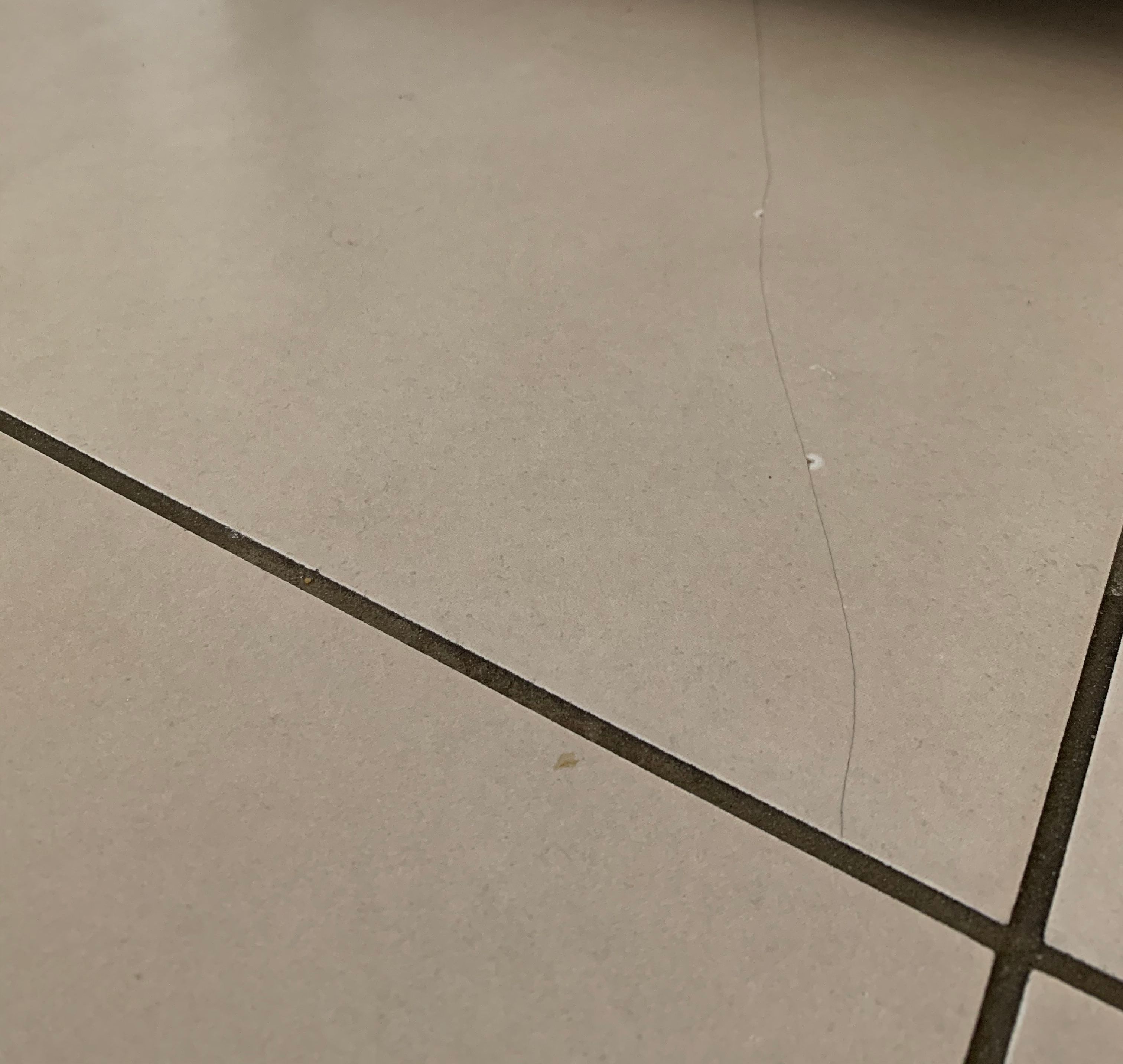 How can you fix a cracked tile? Bunnings community