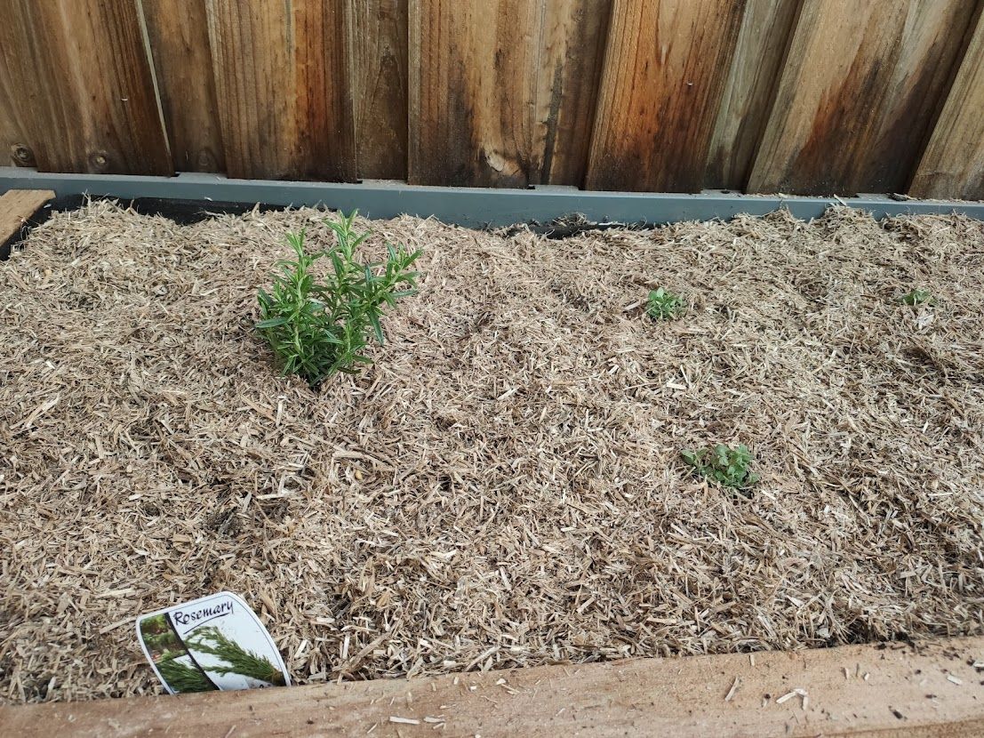 Raised garden bed using Pine sleepers Bunnings community