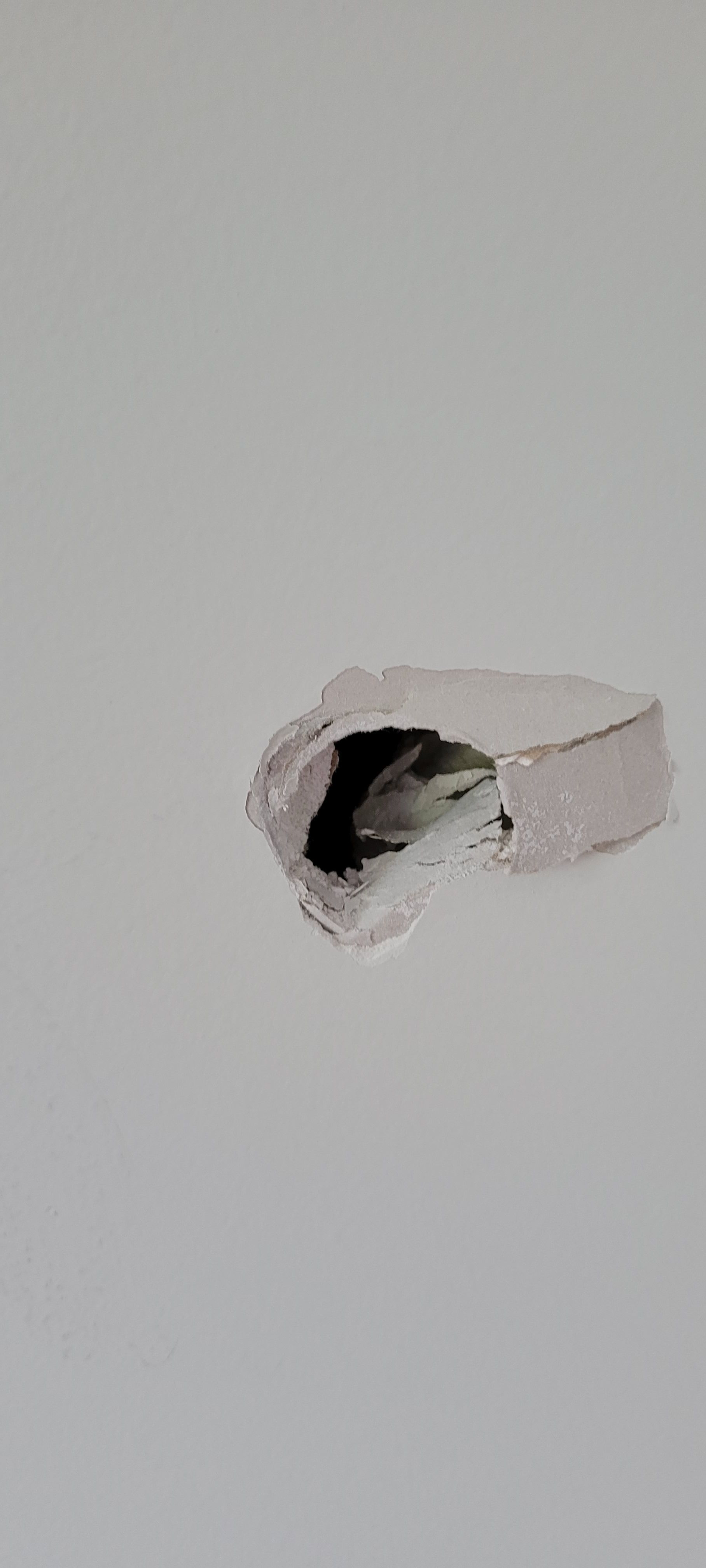 How to fix this hole in the wall? Bunnings community
