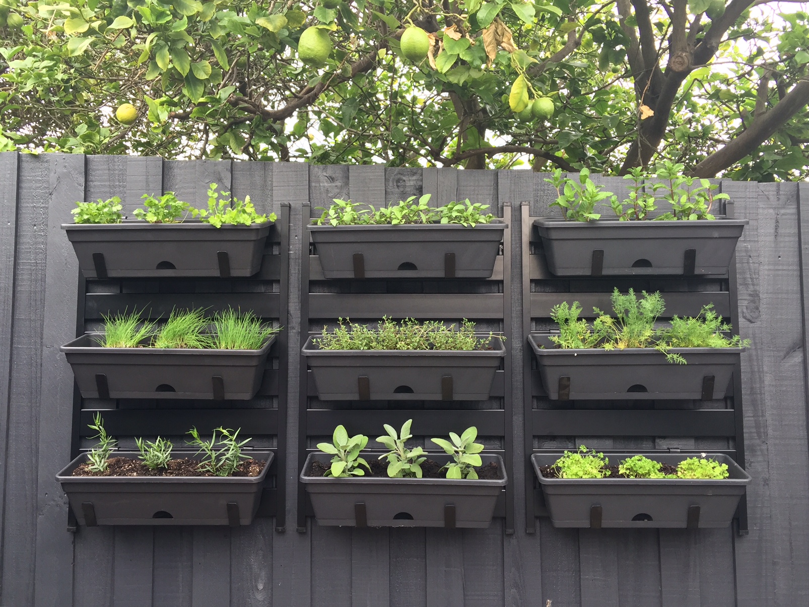 Vertical herb garden Bunnings community