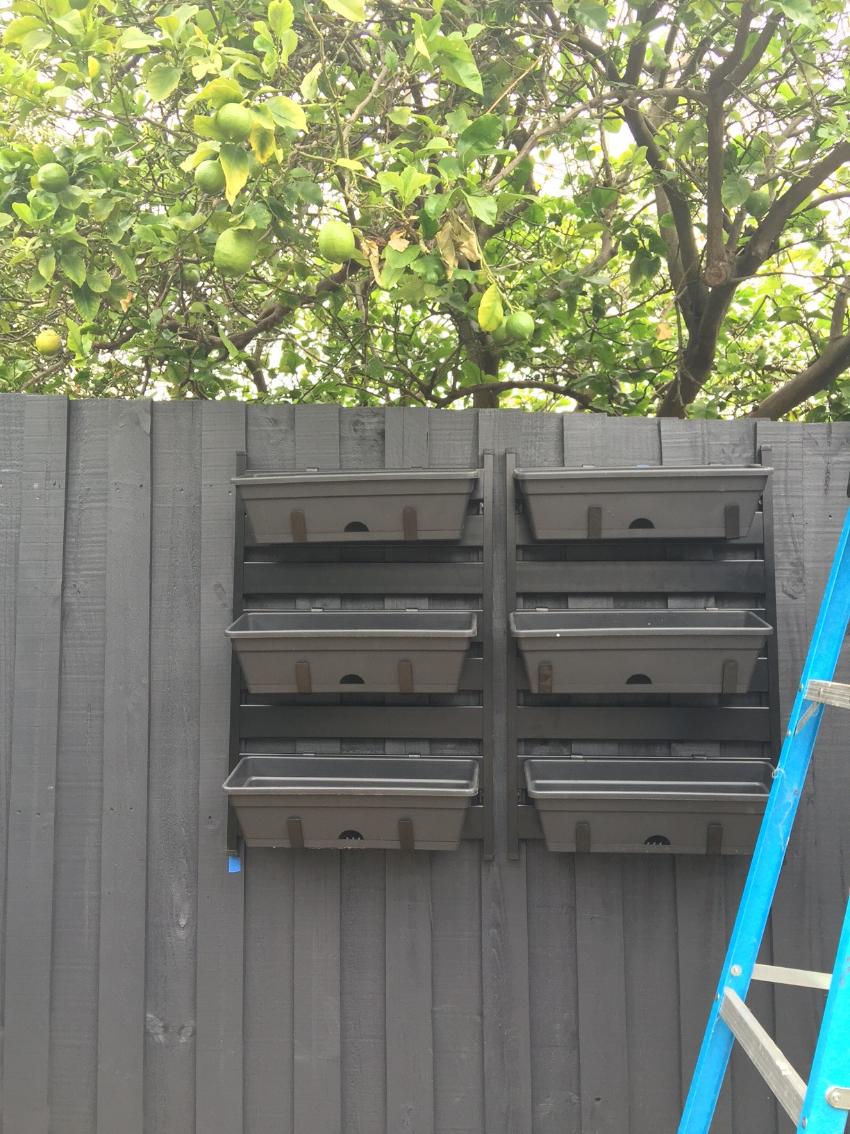 Vertical herb garden Bunnings community