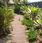 Pete's backyard renovation