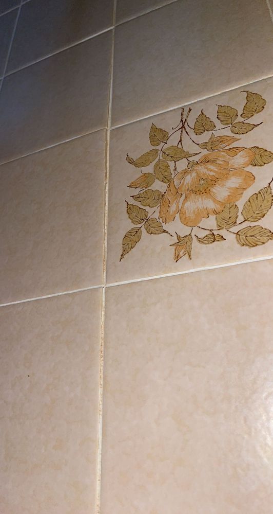 unsealed grout failure