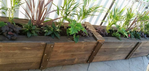 LePallet planter.png