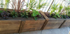LePallet planter.png