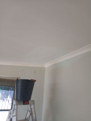 Nicotine ceiling progress