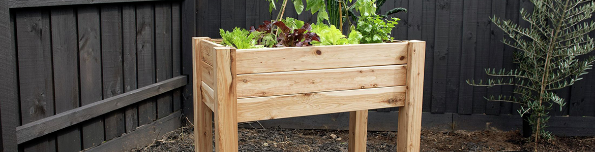 Planter box.png