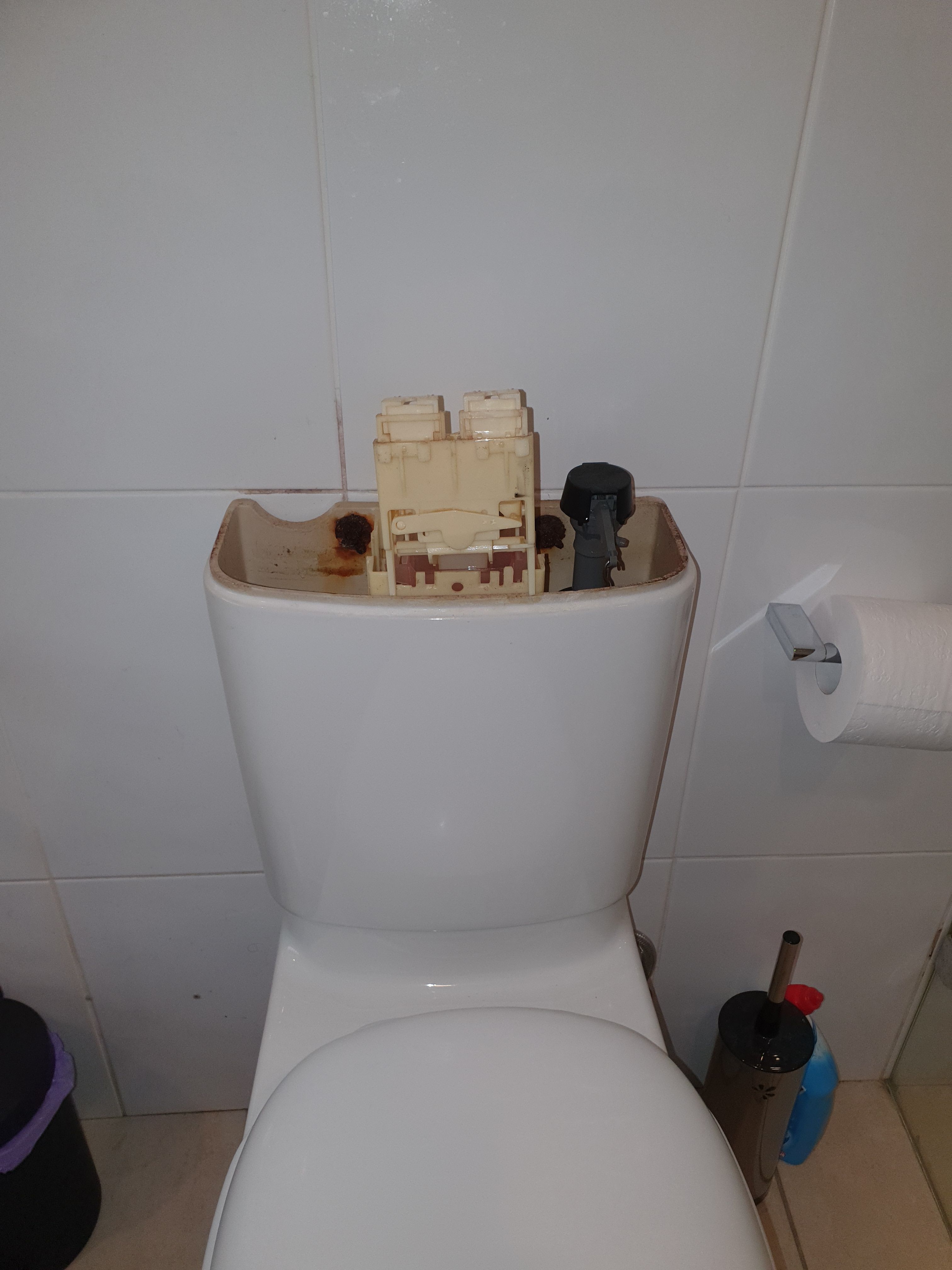 Solved How do you replace a seat washer on a Ca... Bunnings